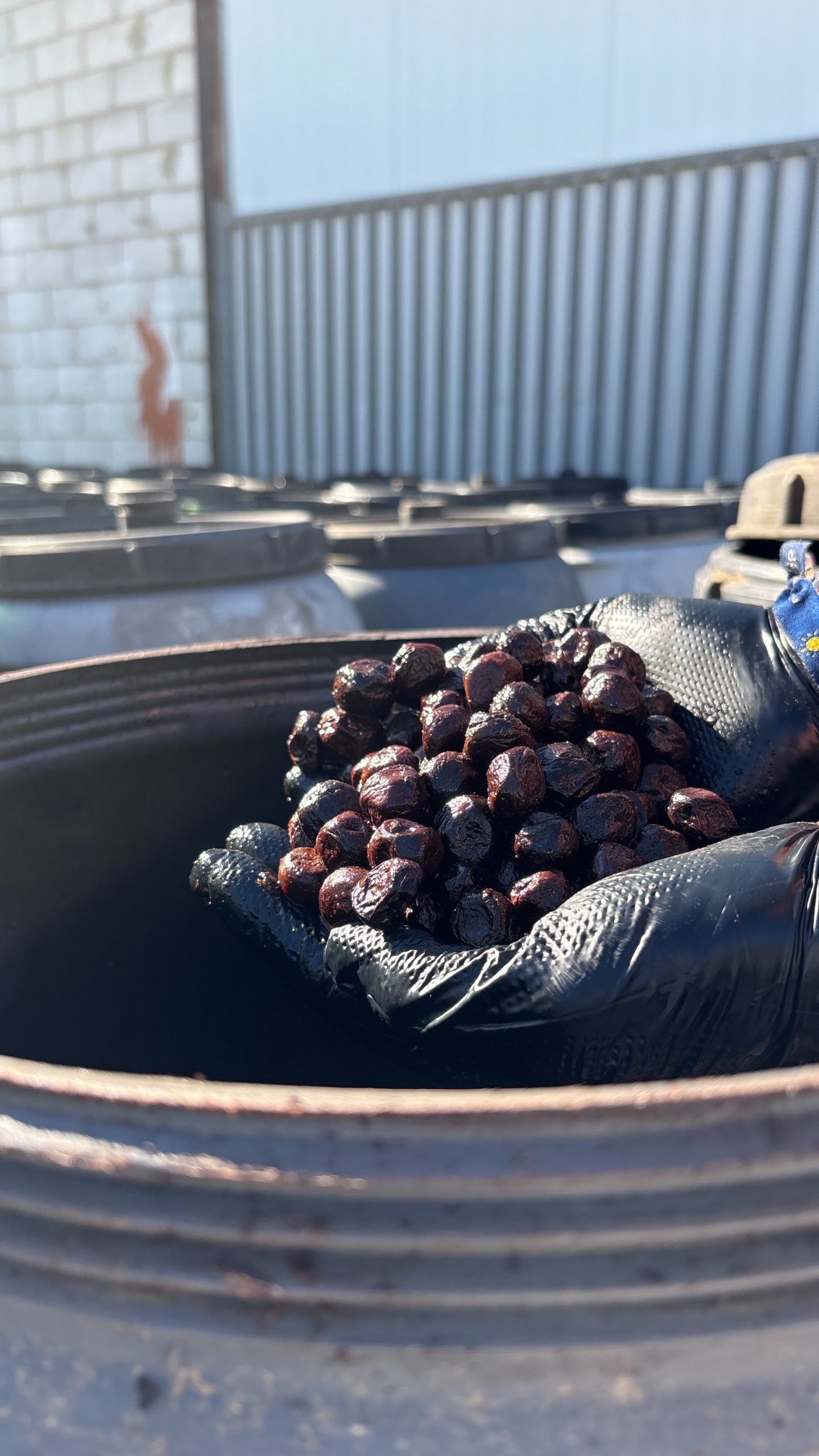 Nosotros dji 20251120 141005 857